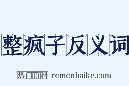 整疯子反义词是什么意思的图片